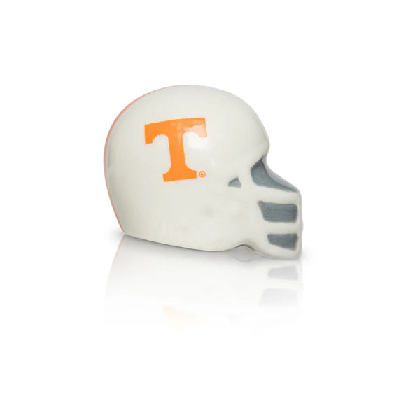 NF Minis Licensed Football Helmets